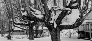 2015 02 16_3082