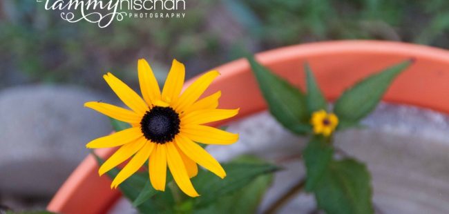 Blog_Photography_7583-2