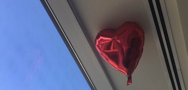 heart photo 5083 cropped