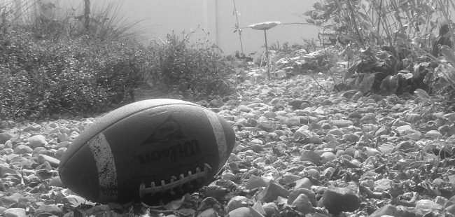 football-in-memory-garden