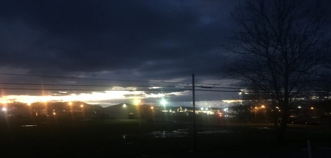 IMG_3795