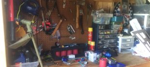 shed one