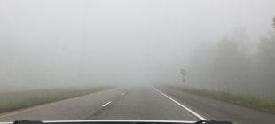 fog road