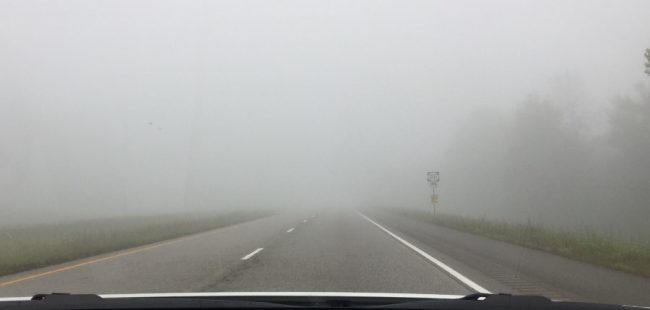 fog road