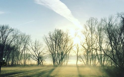 fogtwo