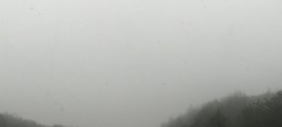 dense fog