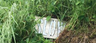 slow in grass sign