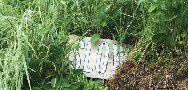slow in grass sign
