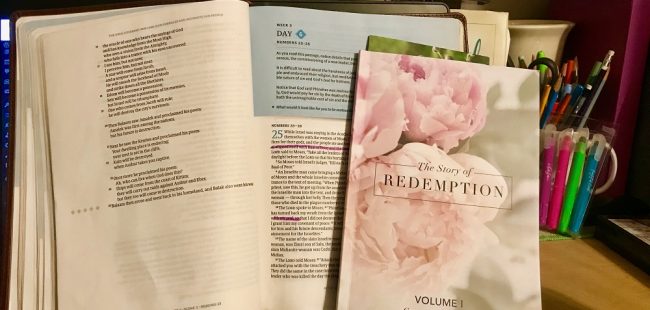 bible and book