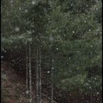When God Speaks to Winter Hearts………