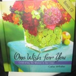 One Wish for You……..