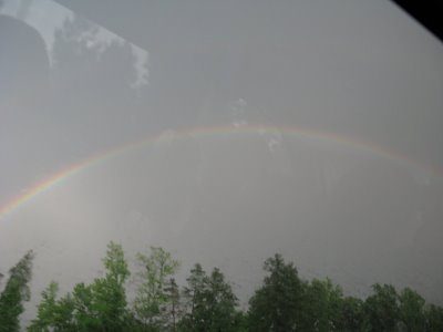 The Rainbows