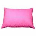 Pillow Talk…..