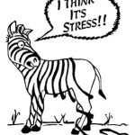 What does a zebra have to do with anything?!?!