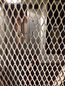 heart in bars