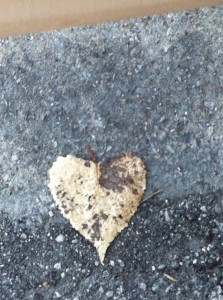 heart leaf again