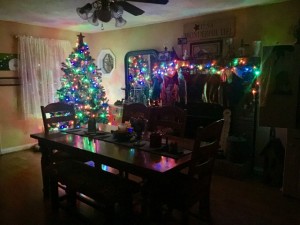 IMG_0214 (1) (640x480)