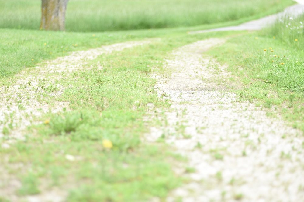 When Gravel Roads Take Flight