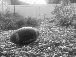 football-in-memory-garden